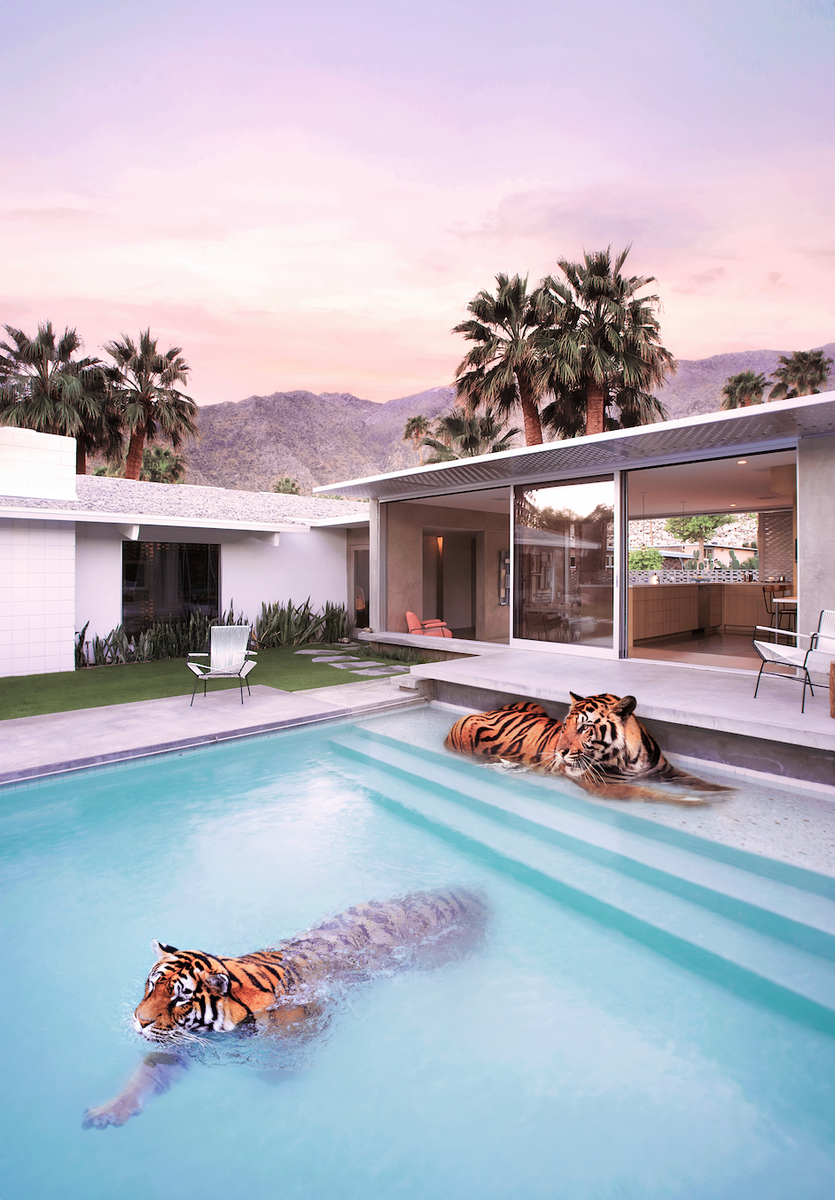 If You Love Slim Aarons, You’ll Love These Modern Poolside Artworks by ...