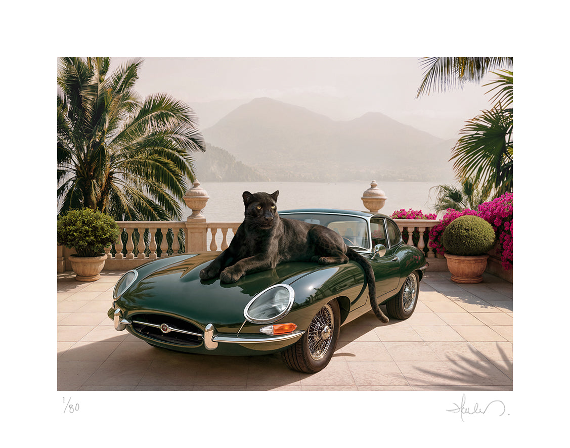 The Jaguar