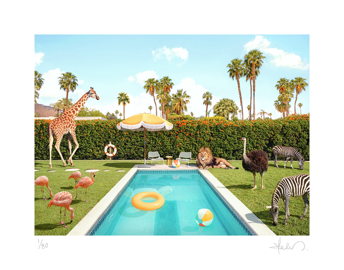 Animal Kingdom