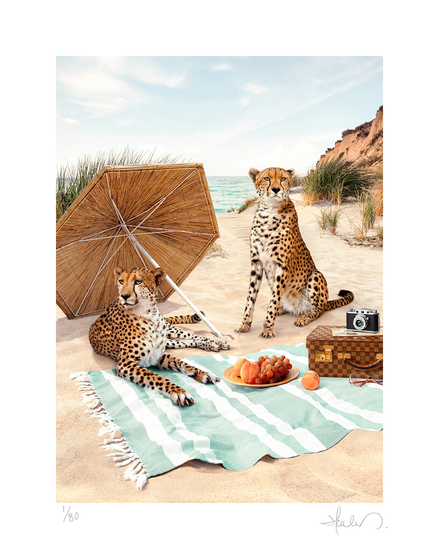 Beach Cheetahs