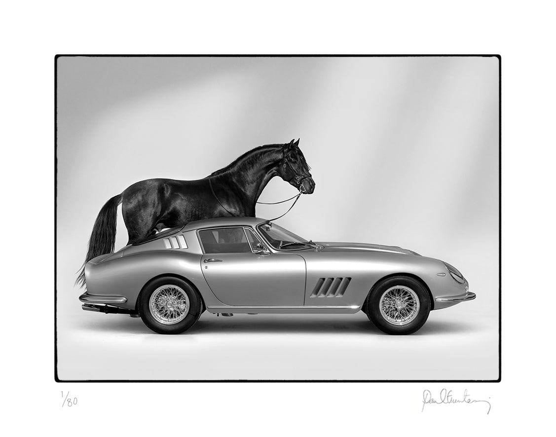 Black Horse