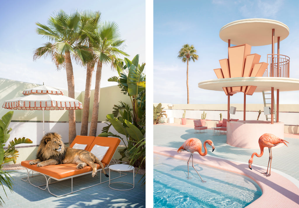 lifestyle scene showing a lion lounging on an orange lounge chair, and pink flamingos standing by a pool at Grand Paradiso Ibiza hotel.