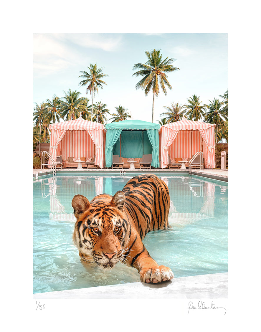 Cabana Tiger