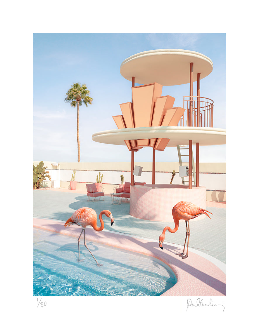 Grand Flamingos