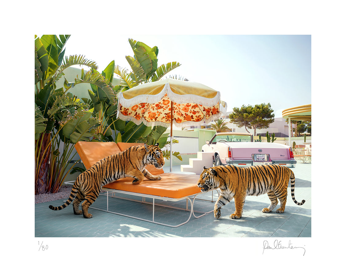 Grand Paradiso Tigers