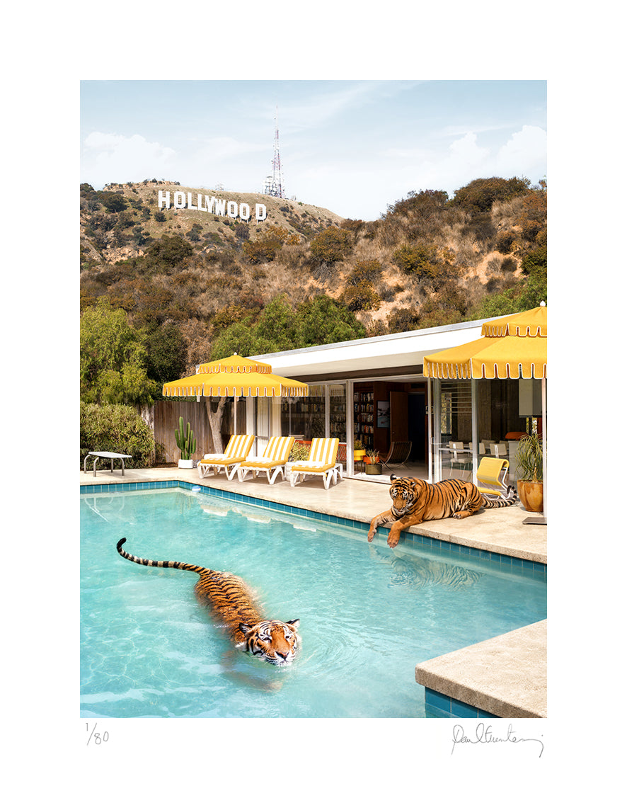 Hollywood Tigers