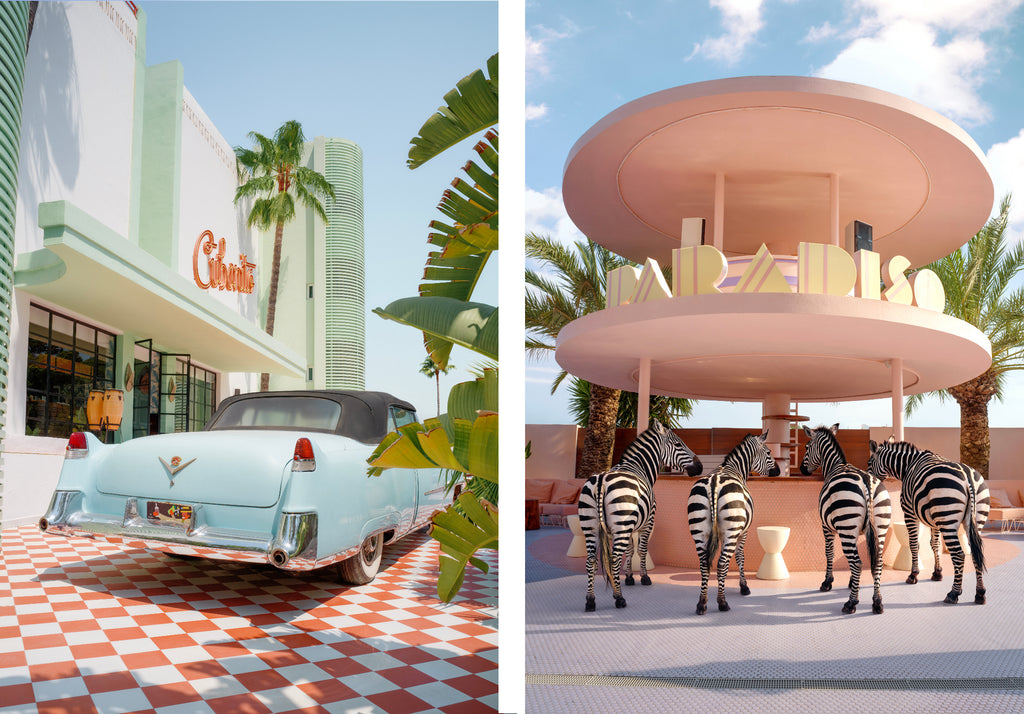 Photograps at The Hotel Concept Group of Classic car at Cubanito and zebras at Paradiso hotel.