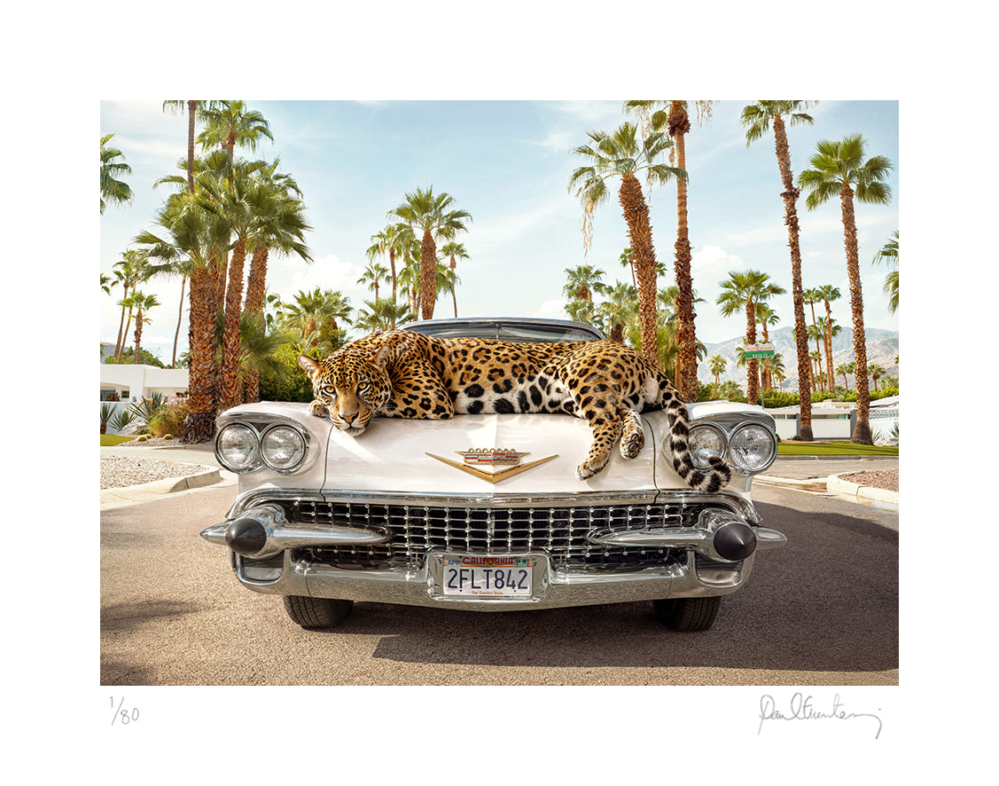 Jaguar Palm Springs