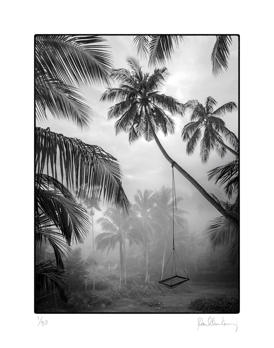 Jungle Noir