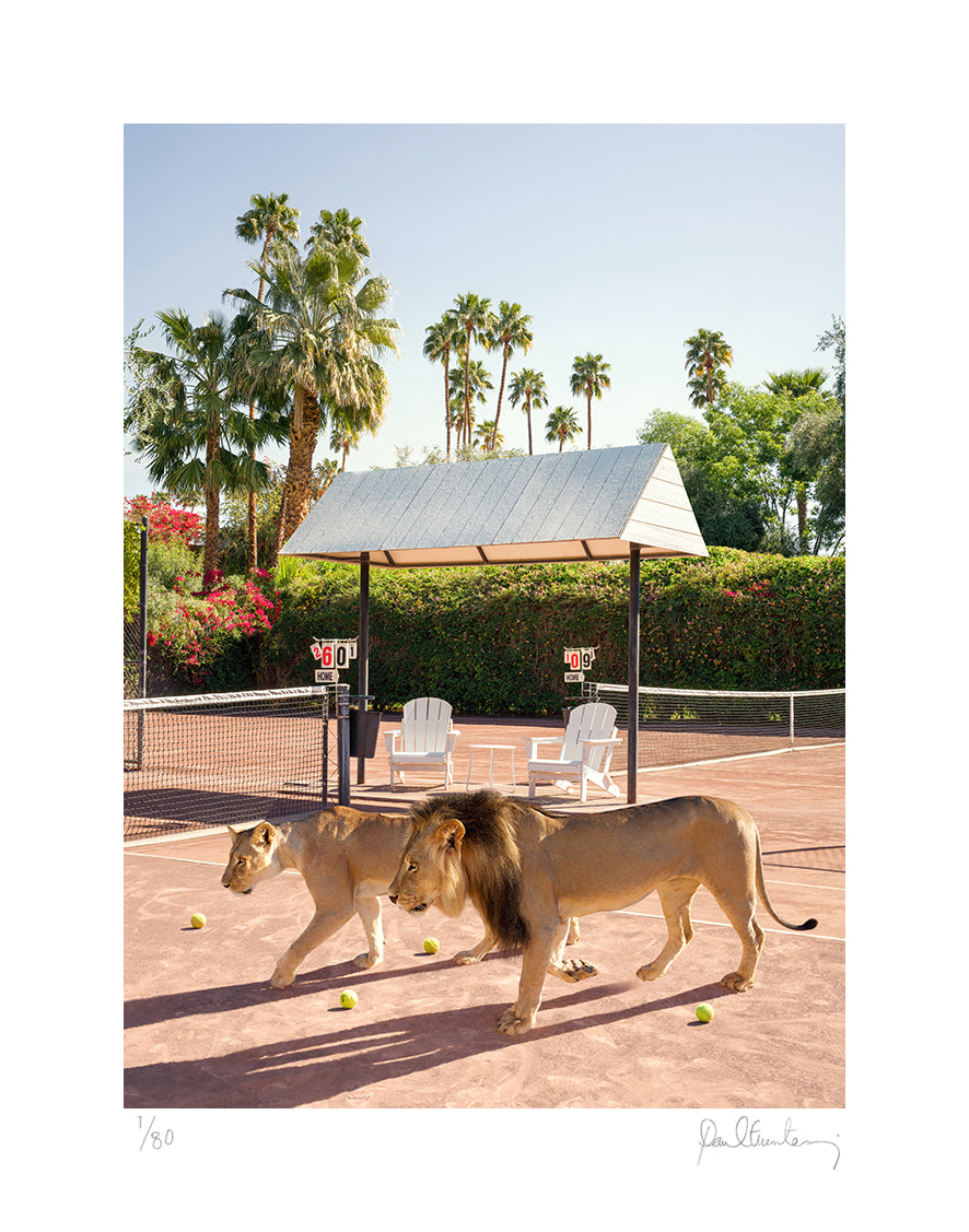 Lions at the Parker