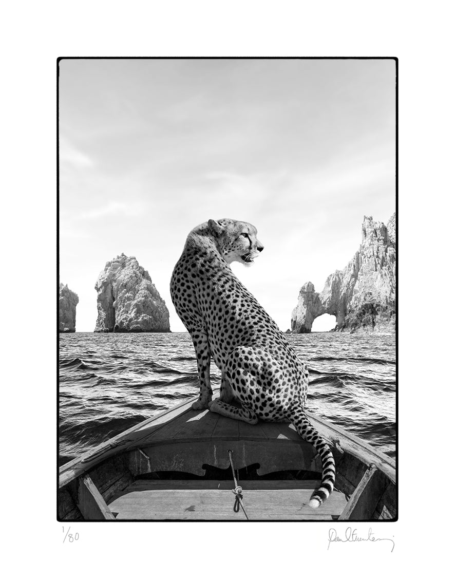 Los Cabos