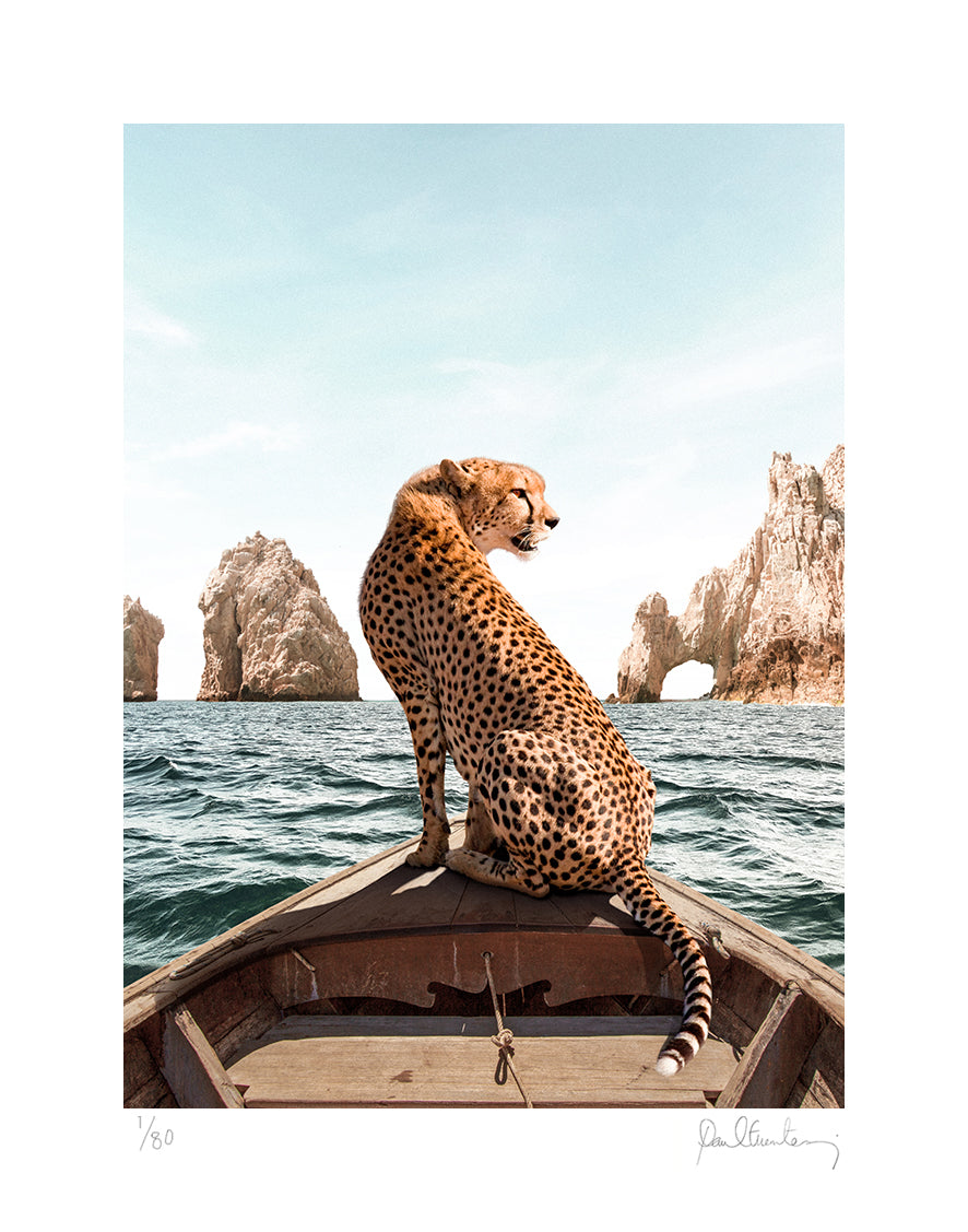 Los Cabos