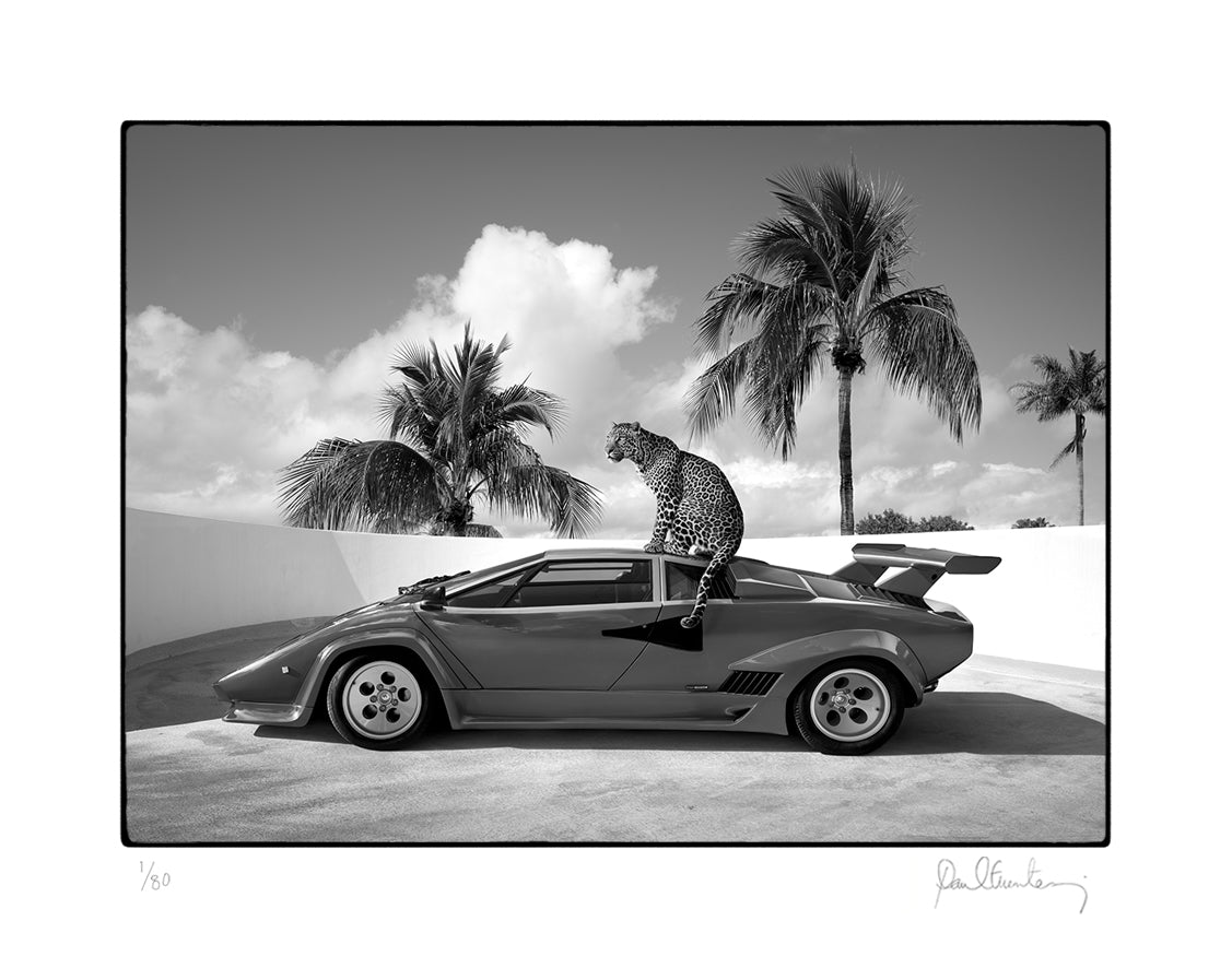 Miami Heat