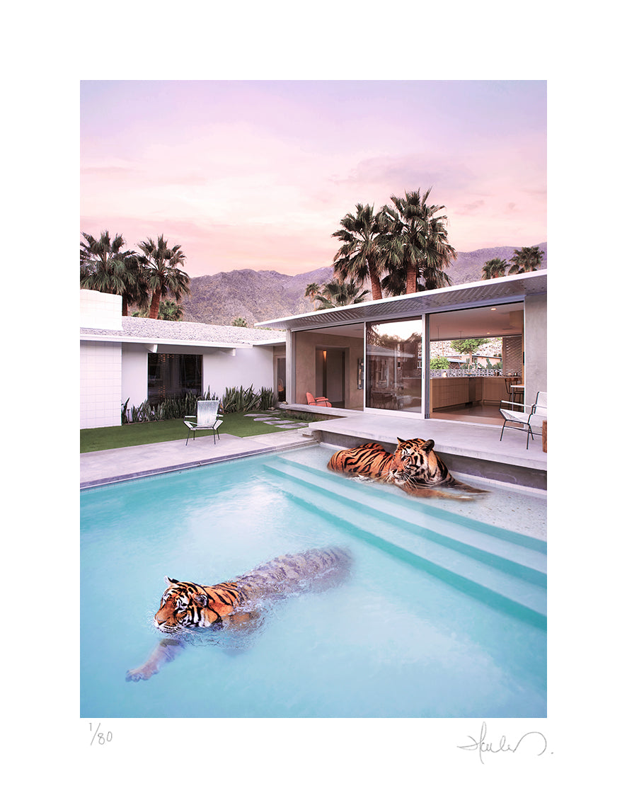 Palm Springs Tigers