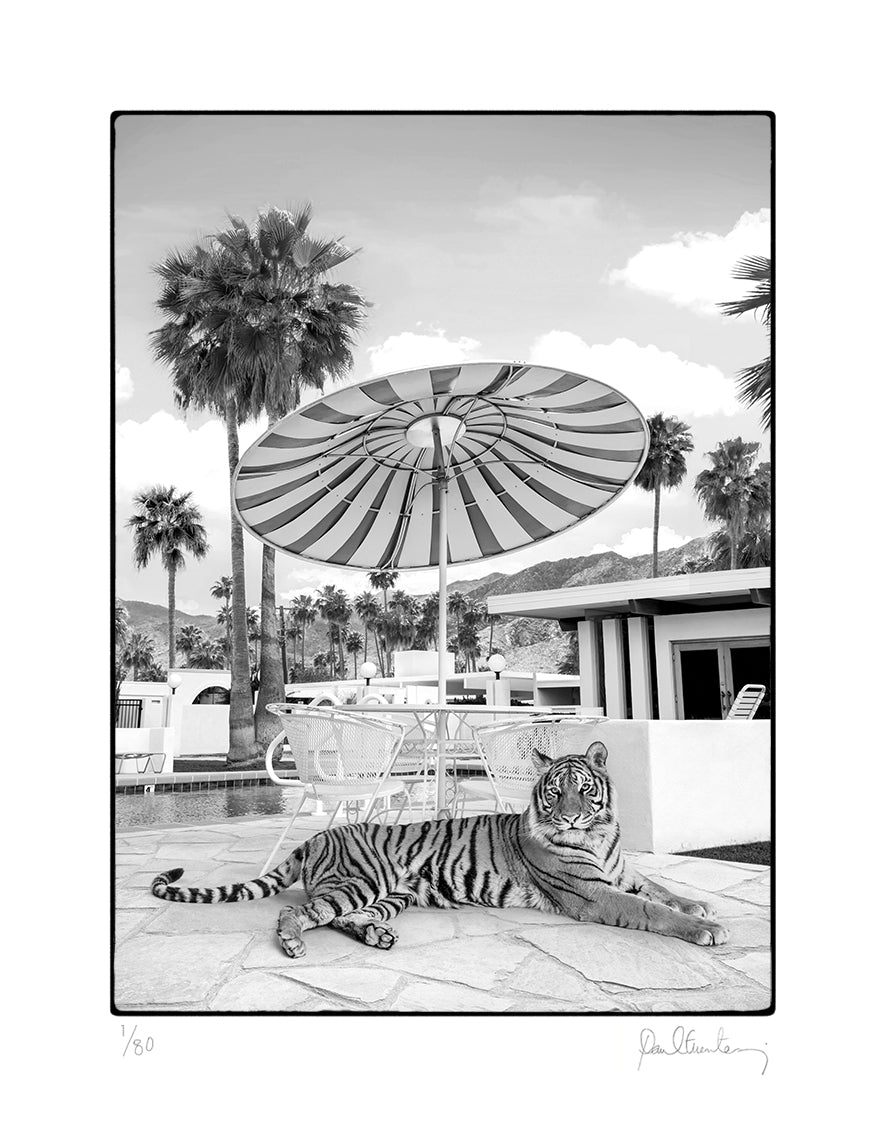 Palm Springs Weekend B&W