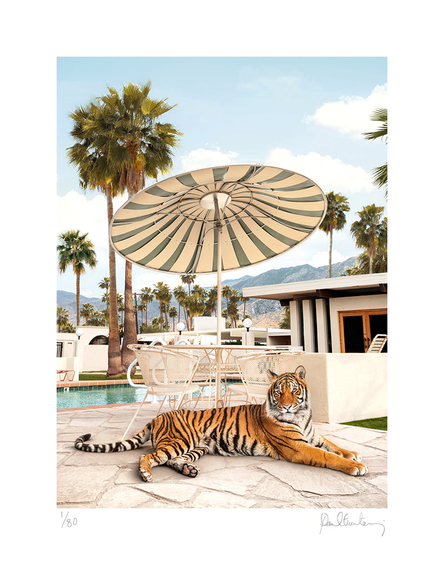Palm Springs Weekend