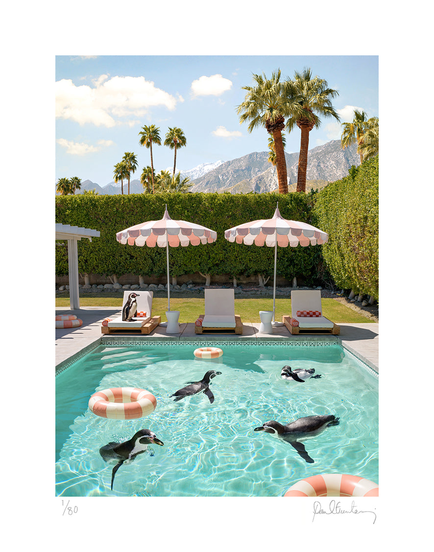 Penguins at the Coco Cabana