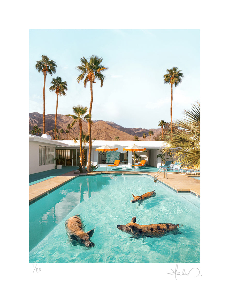 Pig Pool Party