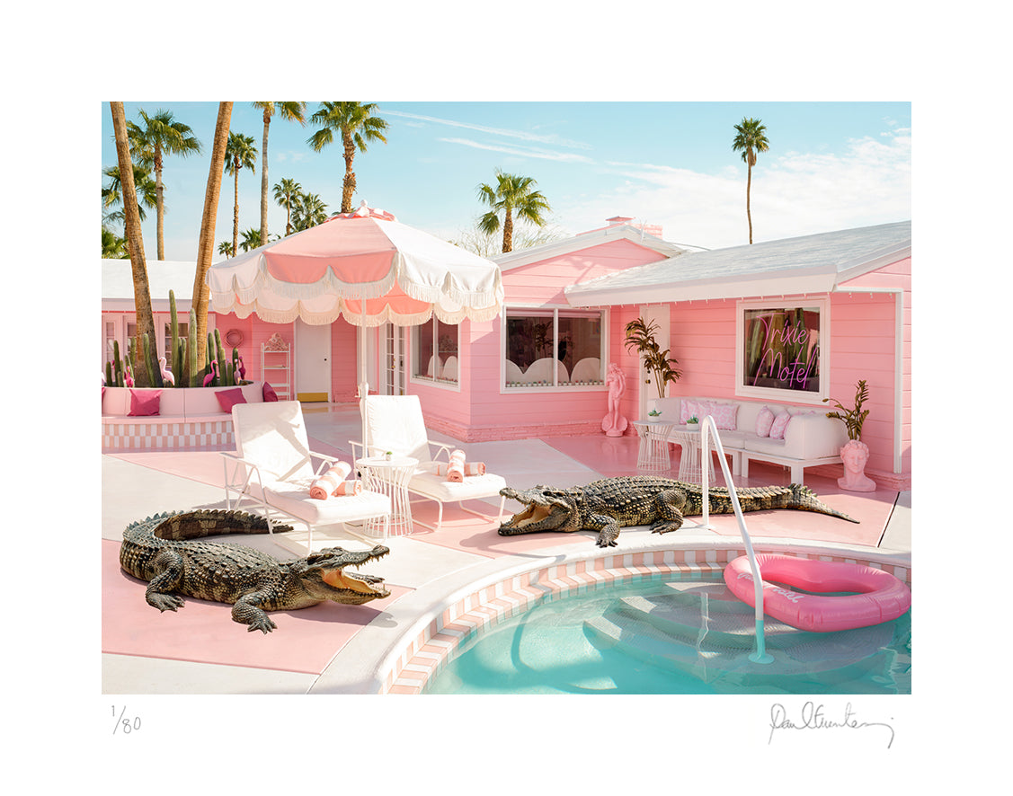 Pink Crocodile