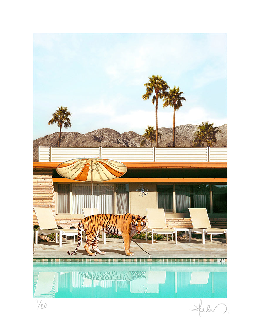 Pool Party Tiger