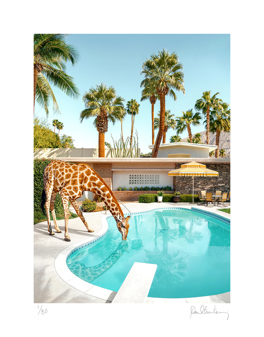 Pooltime Giraffe