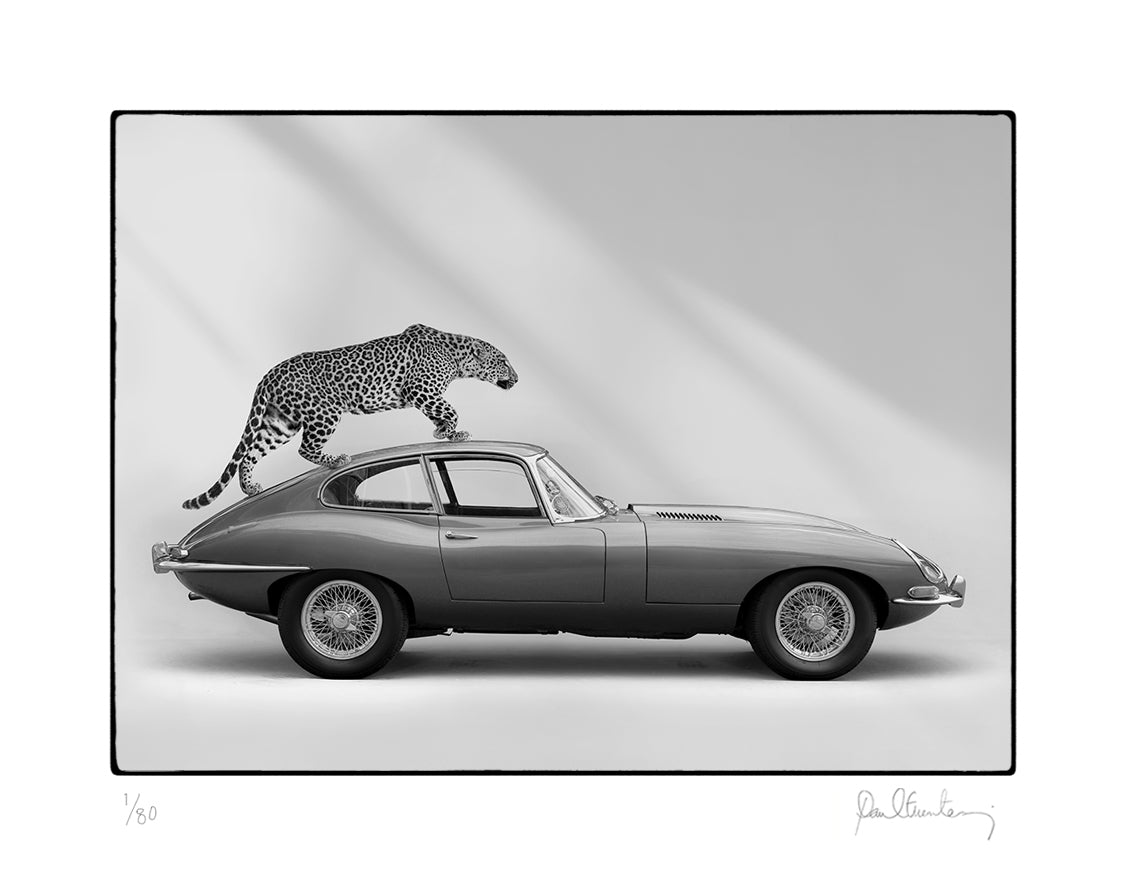 The Jag