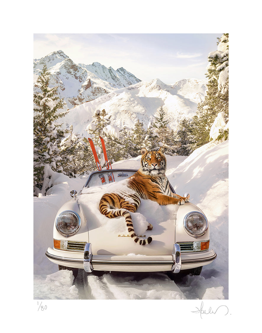 Tiger In St. Moritz