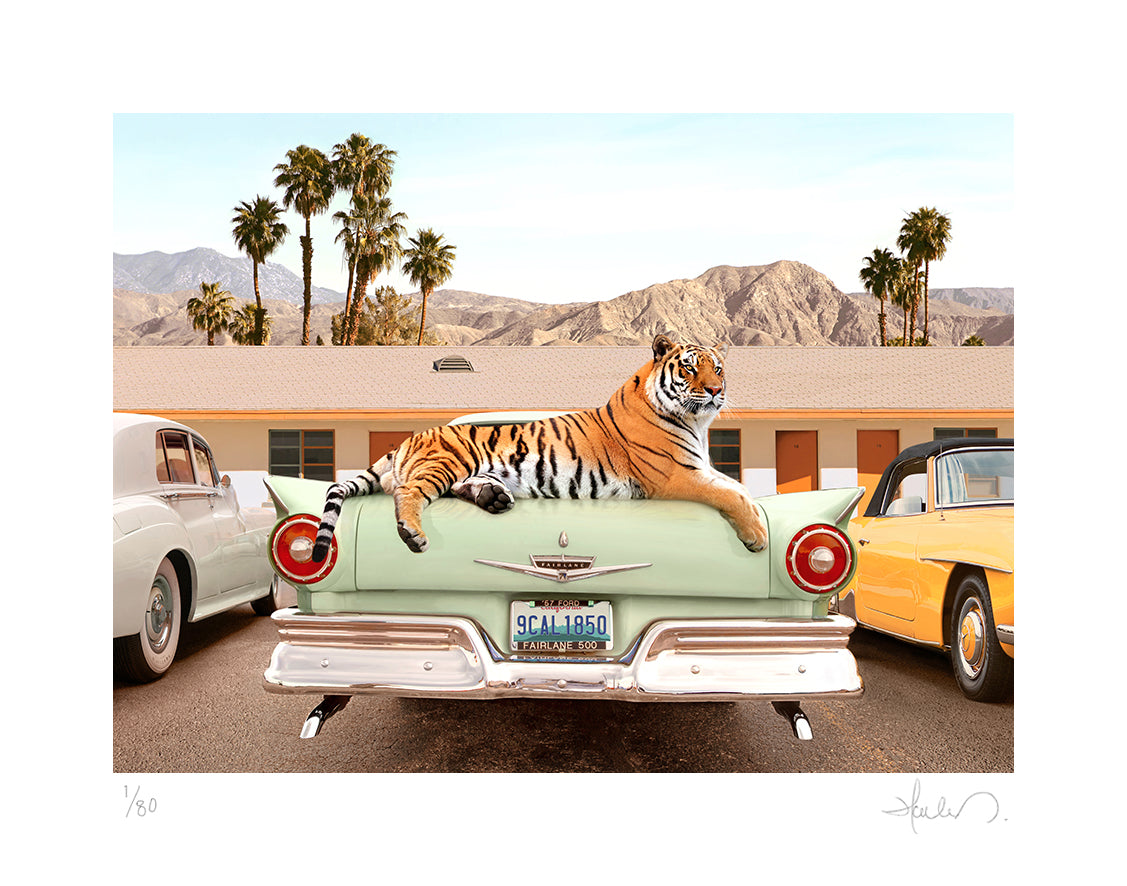 Tiger Motel
