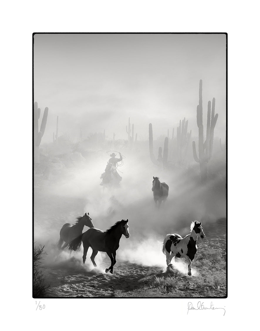 Wild Horses