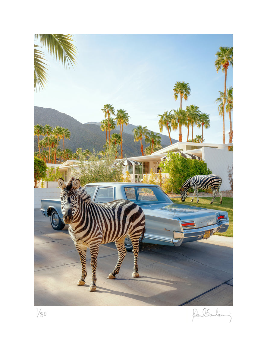 Zebra Crossing