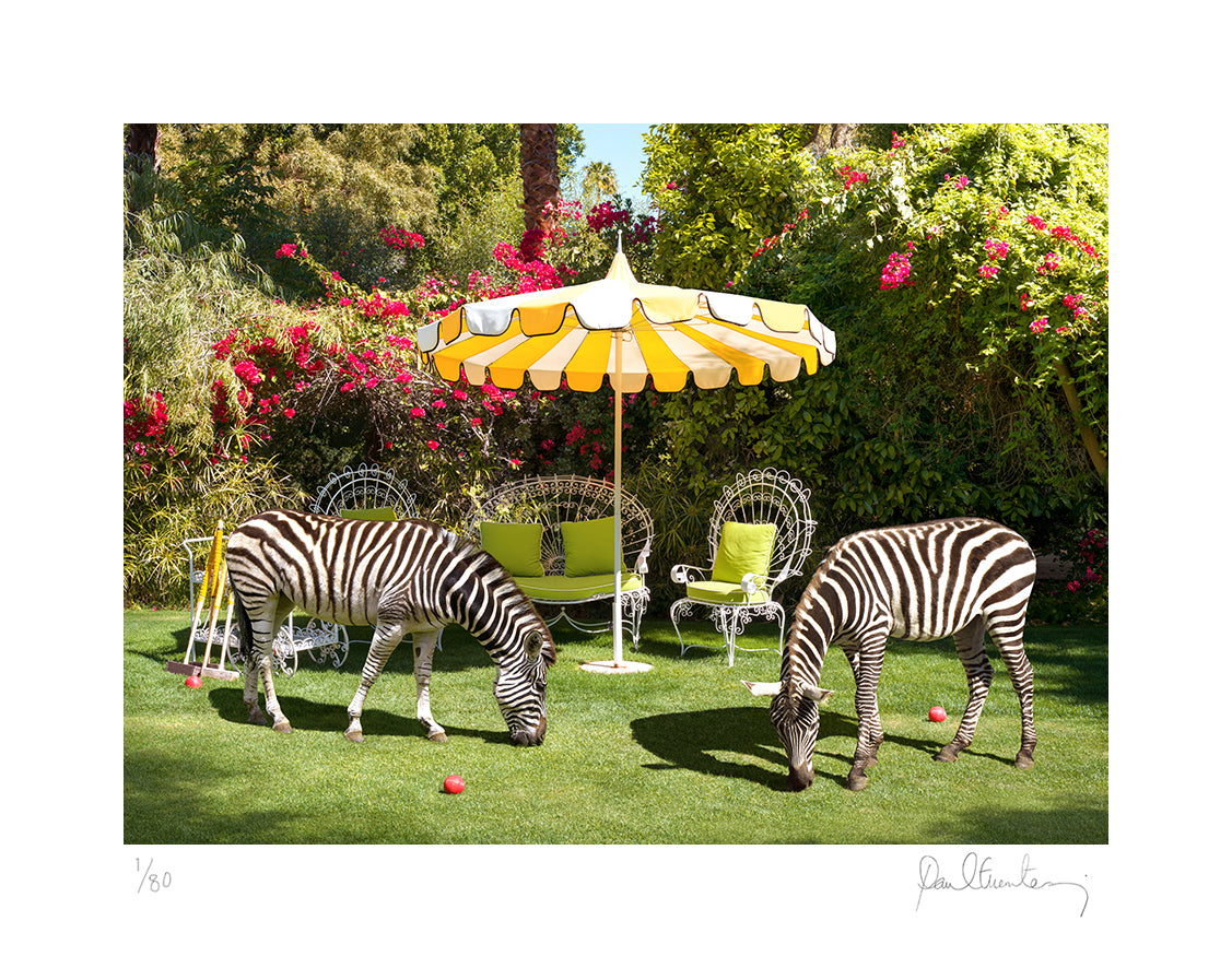 Zebras at the Parker